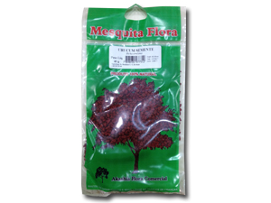 URUCUM 40g (SEMENTES)